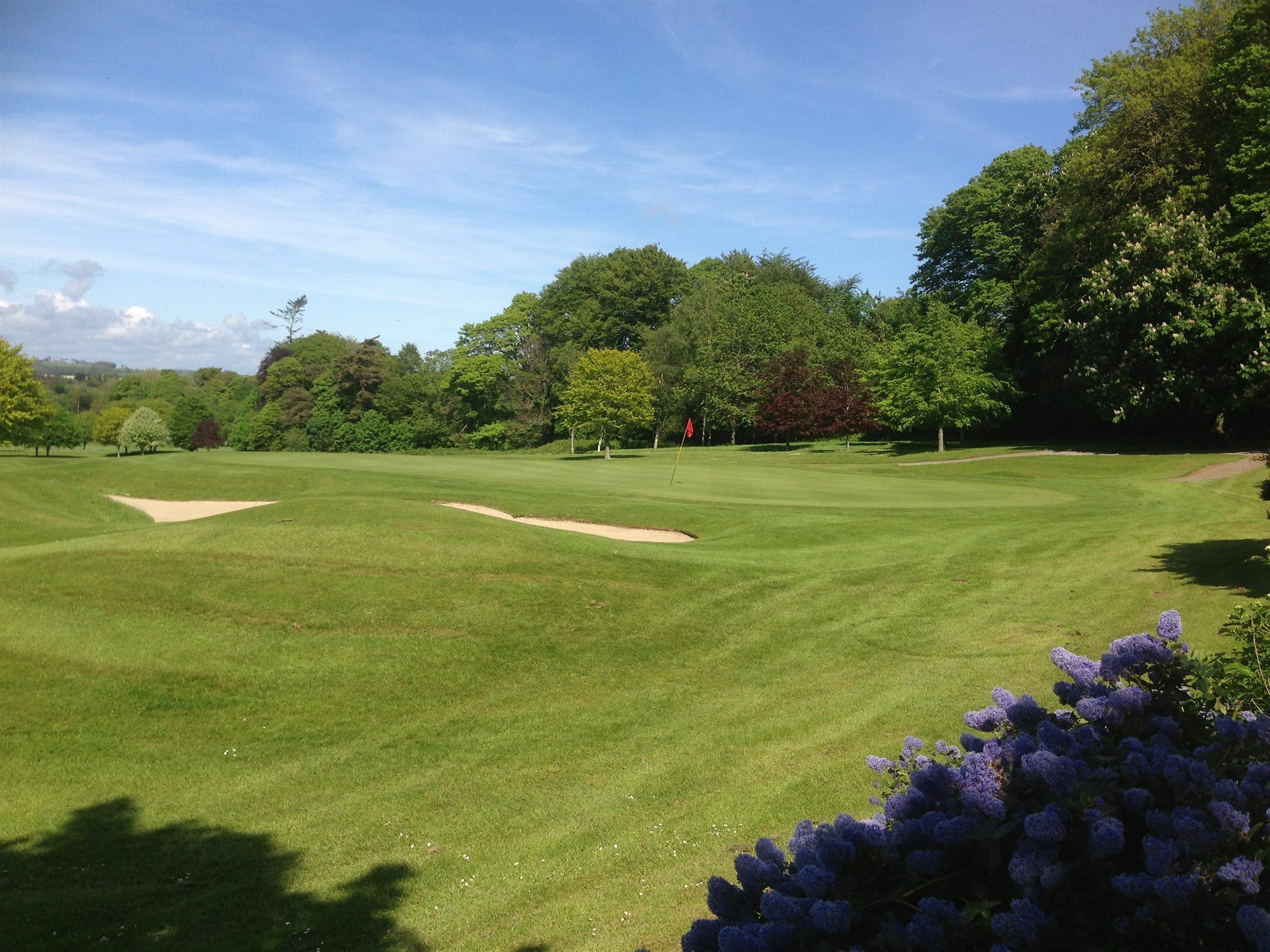 Waterford Castle Hotel & Golf Resort Ballinakill  Экстерьер фото